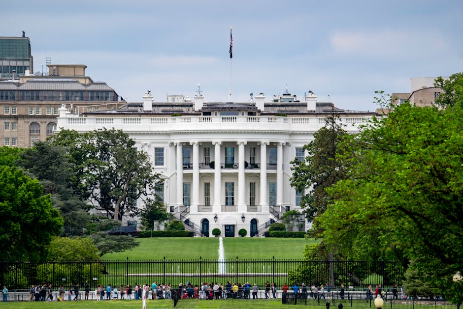 The White House with tourists in front Front view of the White House with visitors in the garden, representing politics, democracy and power in the United States.